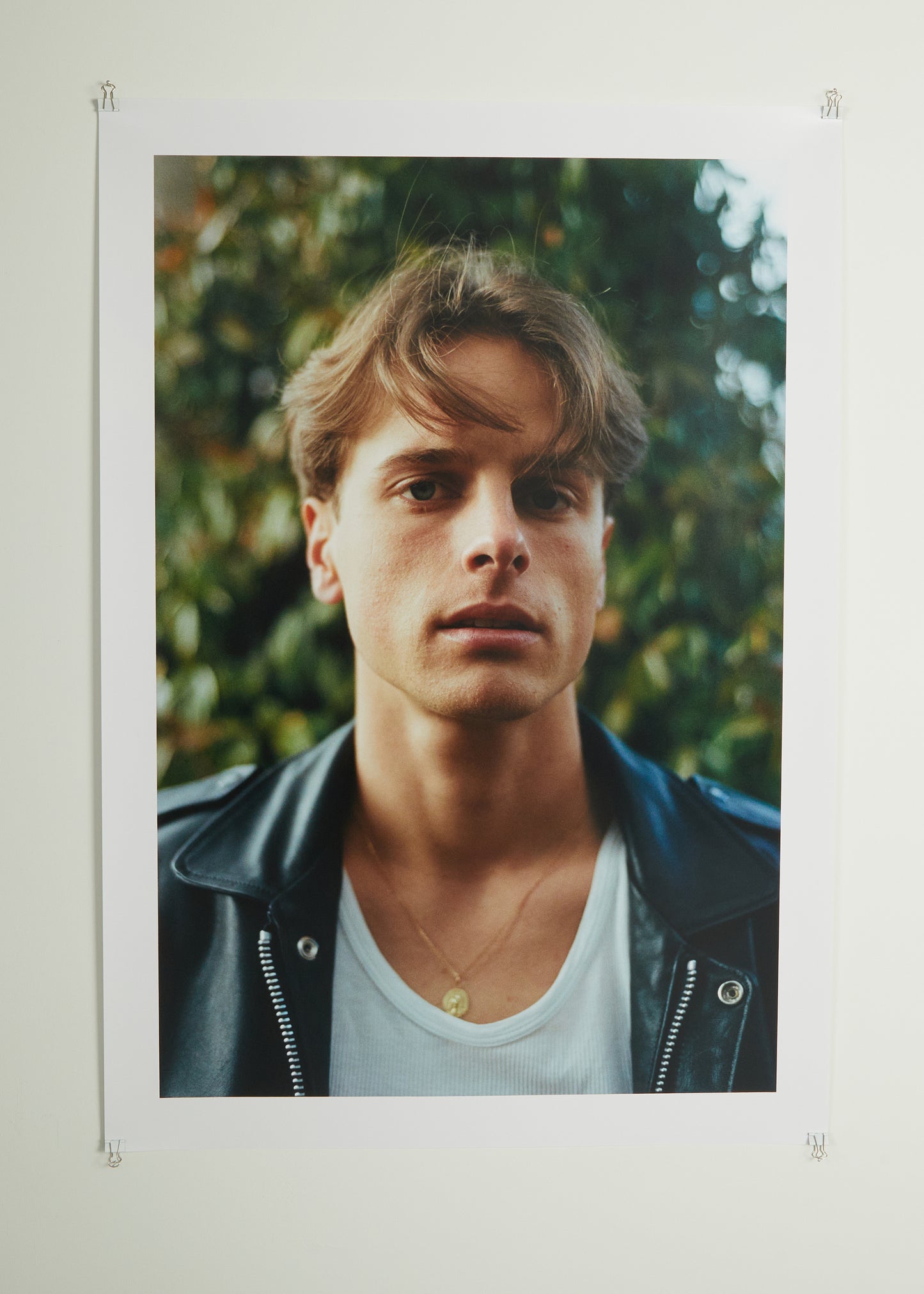Untitled (Dauphin), 2023