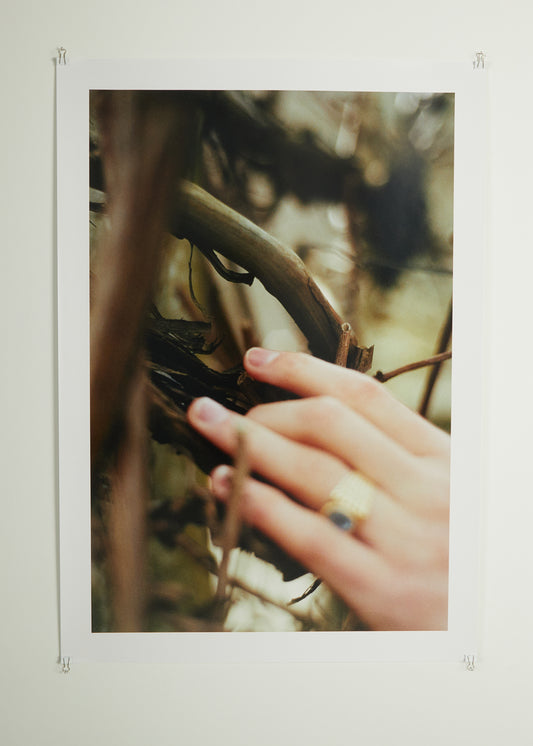Untitled (Dauphin), 2023