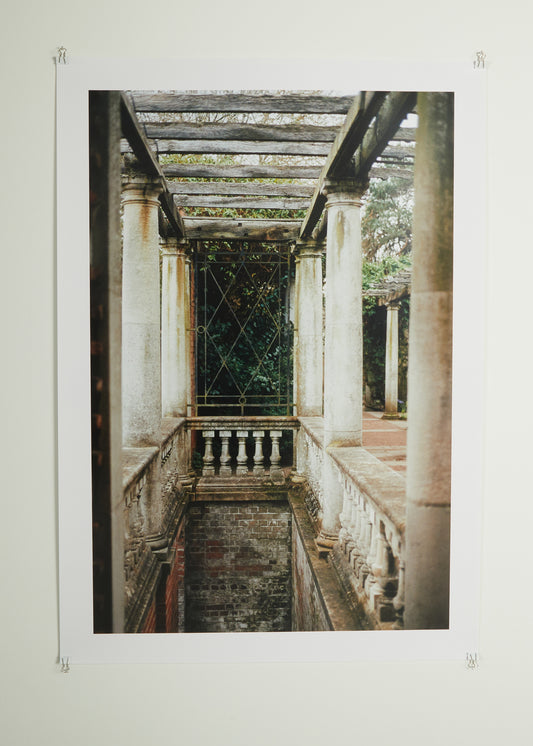 Untitled (Dauphin), 2023